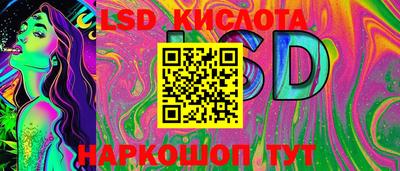 PSILOCYBIN Кулебаки