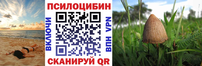 Галлюциногенные грибы GOLDEN TEACHER Железноводск