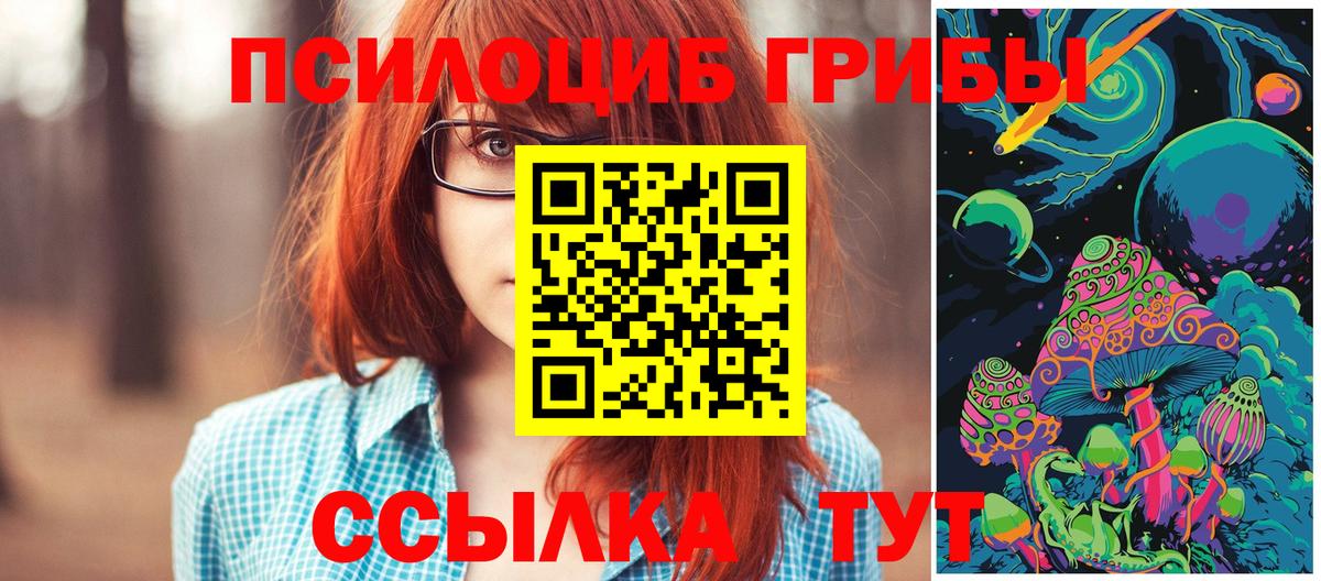 Галлюциногенные грибы Cubensis  закладка  Железноводск  Вход с VPN 